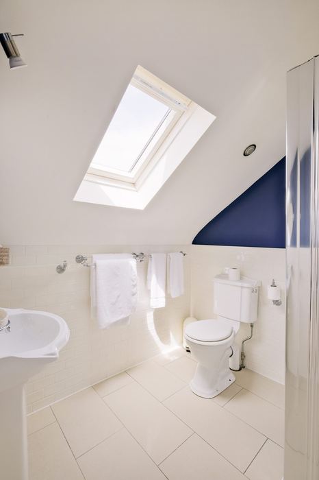 Ensuite bathroom with navy accent wall and skylight
